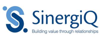 Sinergiq - Asesoría en relaciones institucionales e internacionales